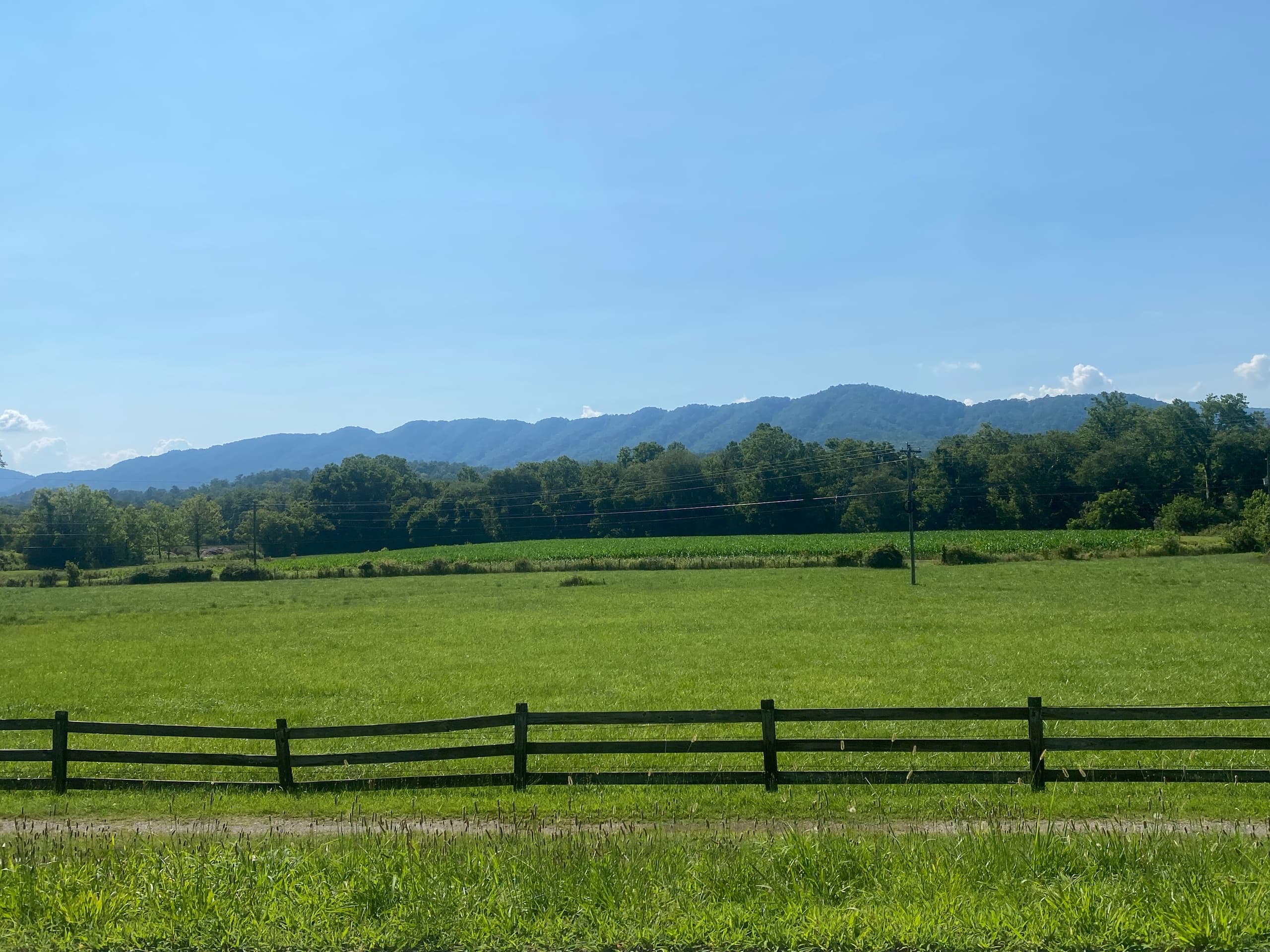 Kayaking the Buffalo to Laytown Route with Upper Yadkin Outfitters