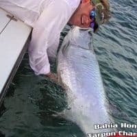 Tarpon Fishing in Big Pine Key with Bahia Honda Tarpon Charters