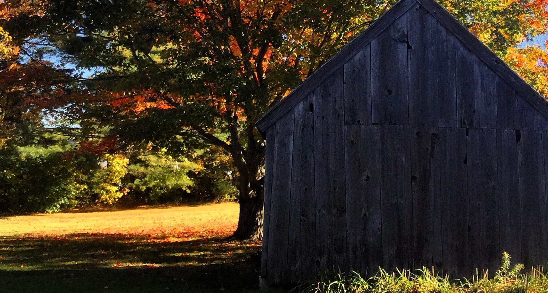 Water Activities & Tarot Classes at New England Curiosities