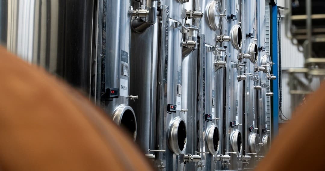 Inside High Weald Wine: Sussex Sparkling Tours & Tastings photo 4