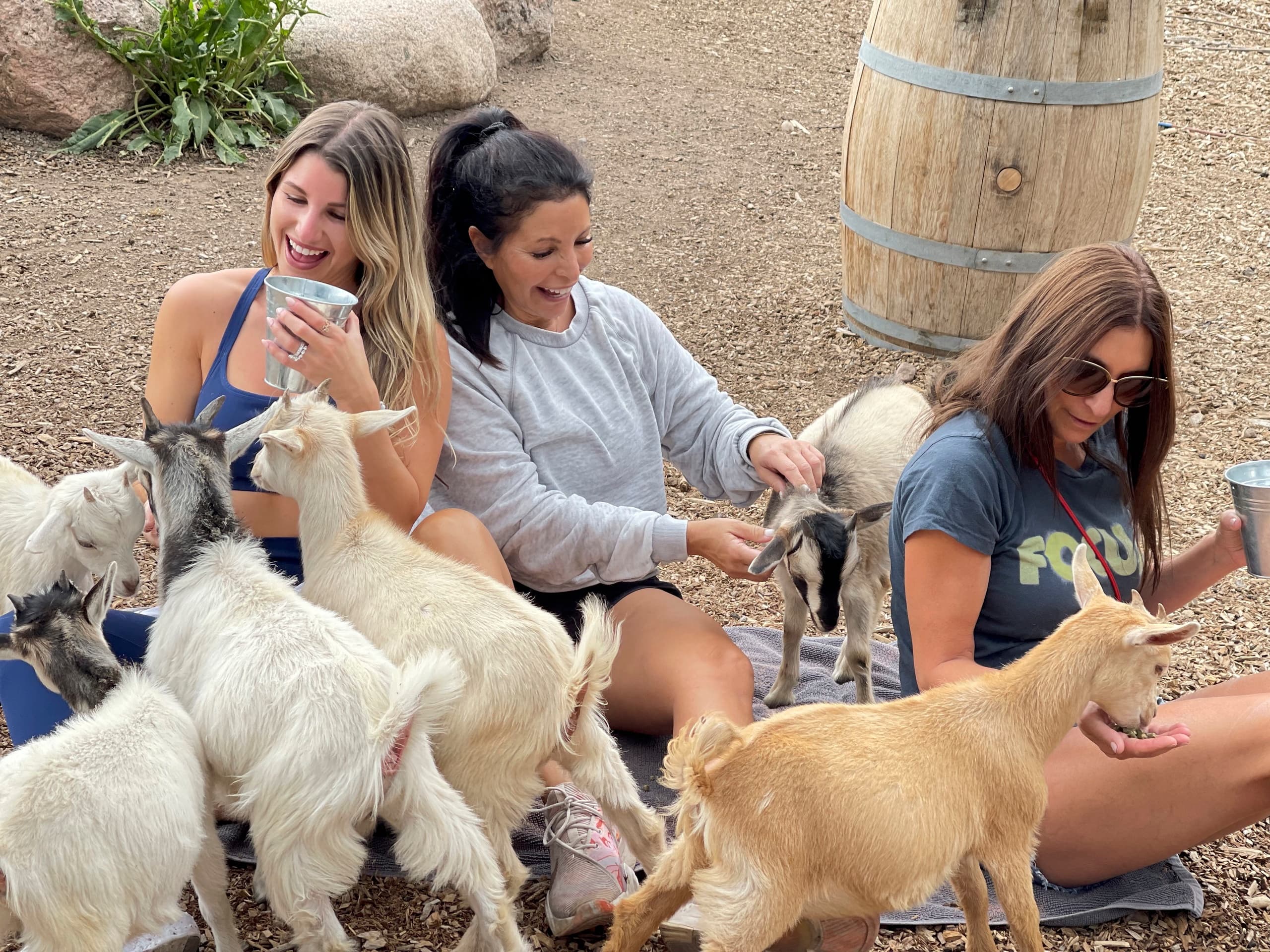 Family-Friendly Land Adventures at Vail Stables
