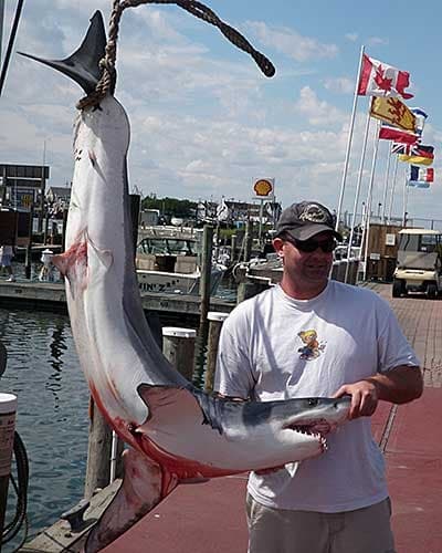 Fisherman with large shark hanging on dock after deep sea catch