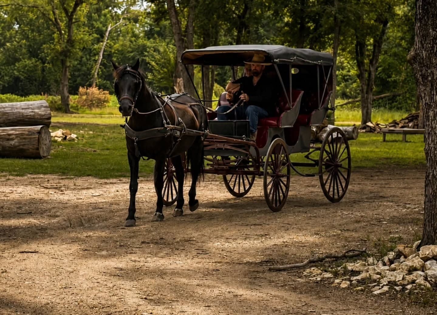 30-Minute Surrey Carriage Ride Near Lake Whitney, Texas