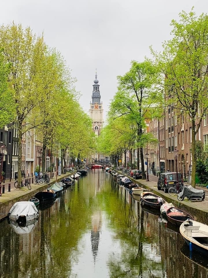 Historic Walking Tour & Museum Visit in Amsterdam
