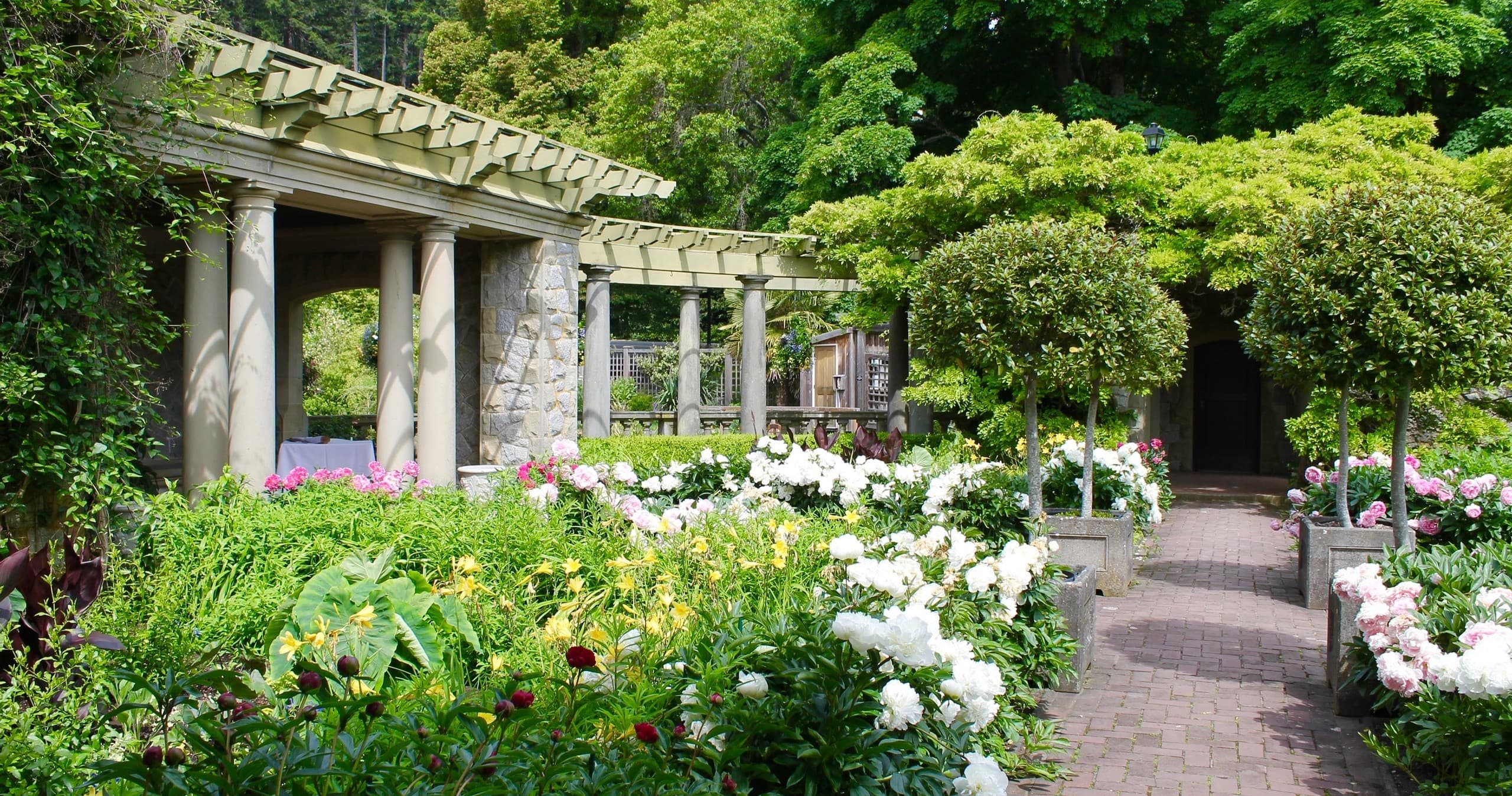 Historic Victoria Tours with EV Tours