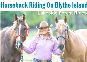 Explore Blythe Island: Unforgettable Horseback Trail Rides in Georgia’s Lakeside Forest