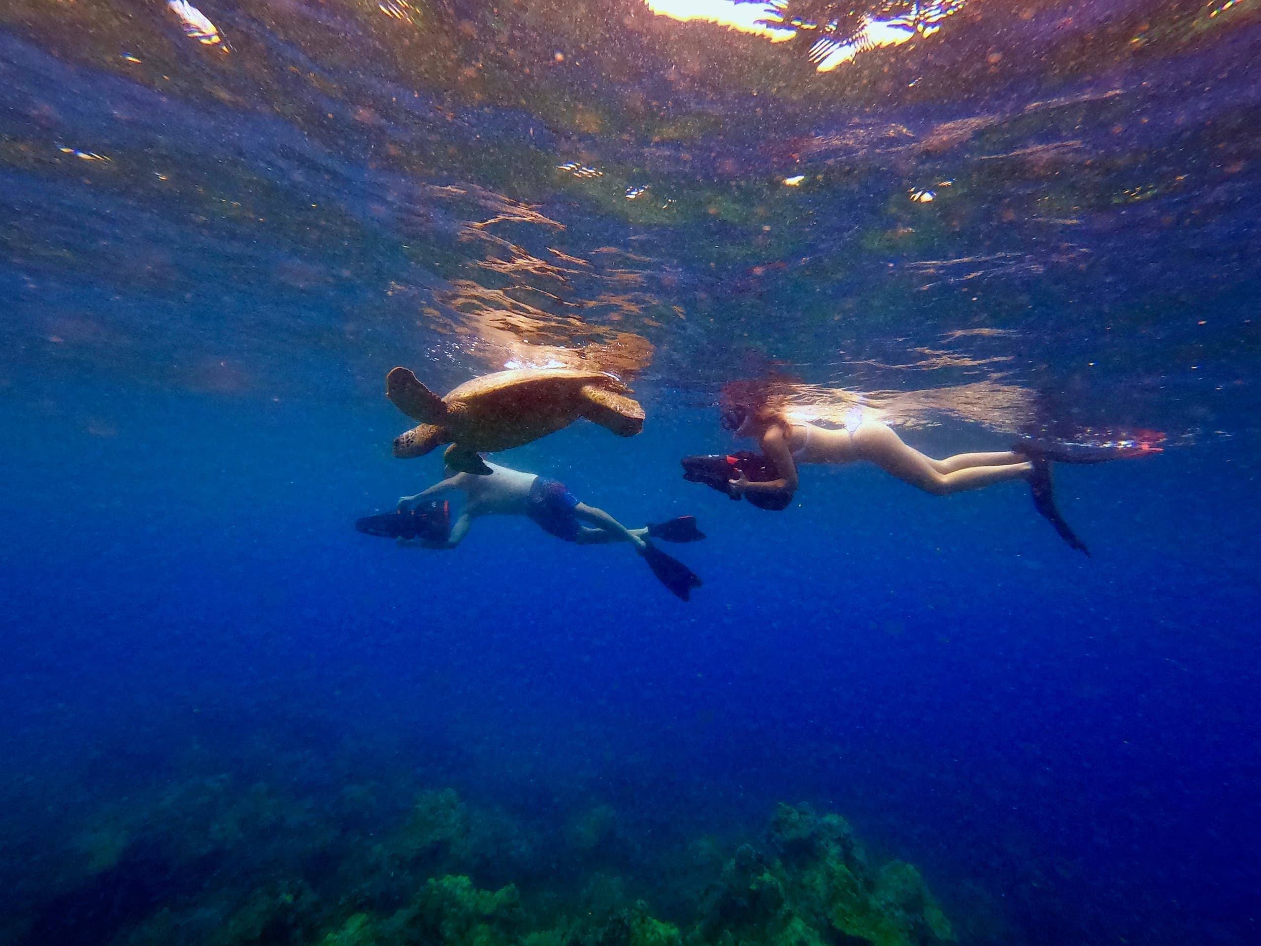 Photography Tour in Lanai City, Hawaii