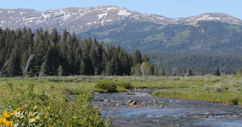 Scenic river valley with forest and snowcapped peaks in Yellowstone