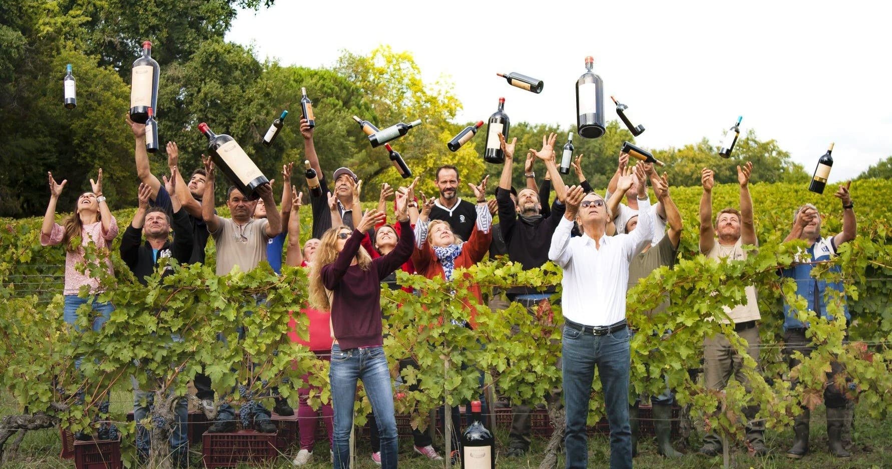 Vineyard harvest crew celebrating among grapevines outdoors
