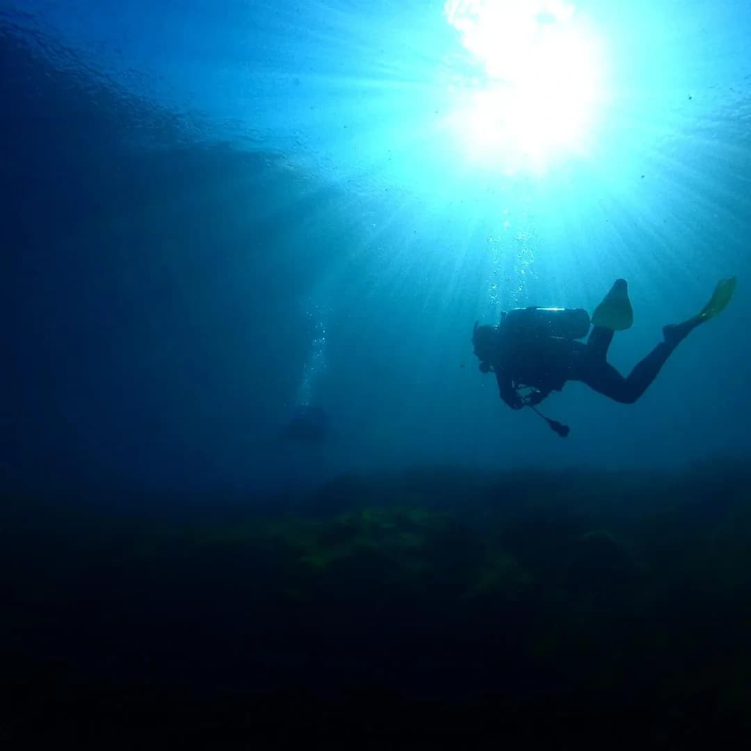 Rainbow River Drift Dive: Clear Spring Scuba in Dunnellon, Florida photo 1