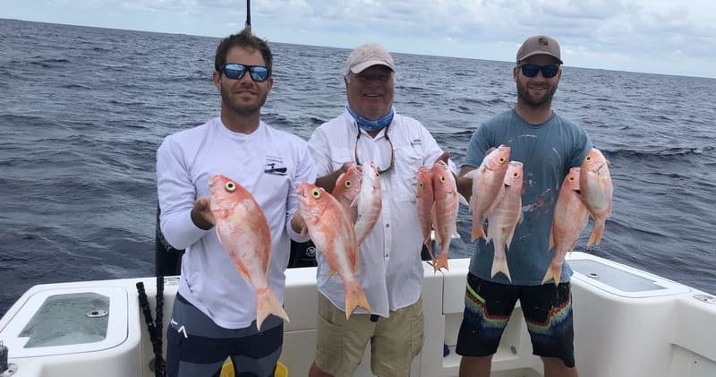 Offshore Fishing with Double D Charters in North Miami