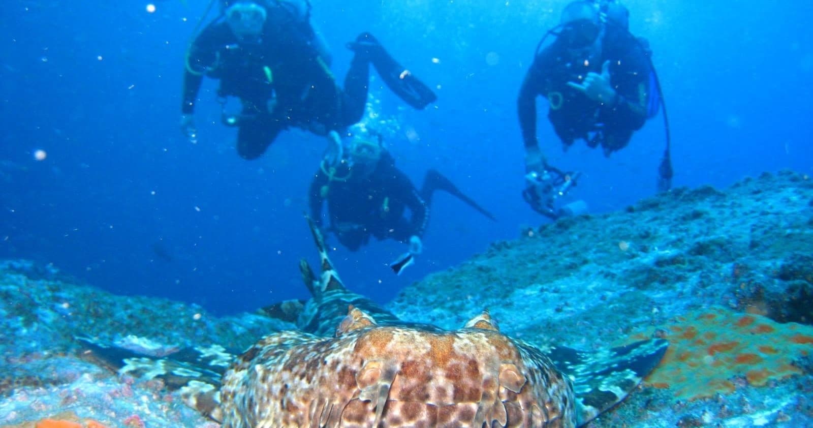 Enriched Air Course with Fish Rock Dive Centre in South West Rocks