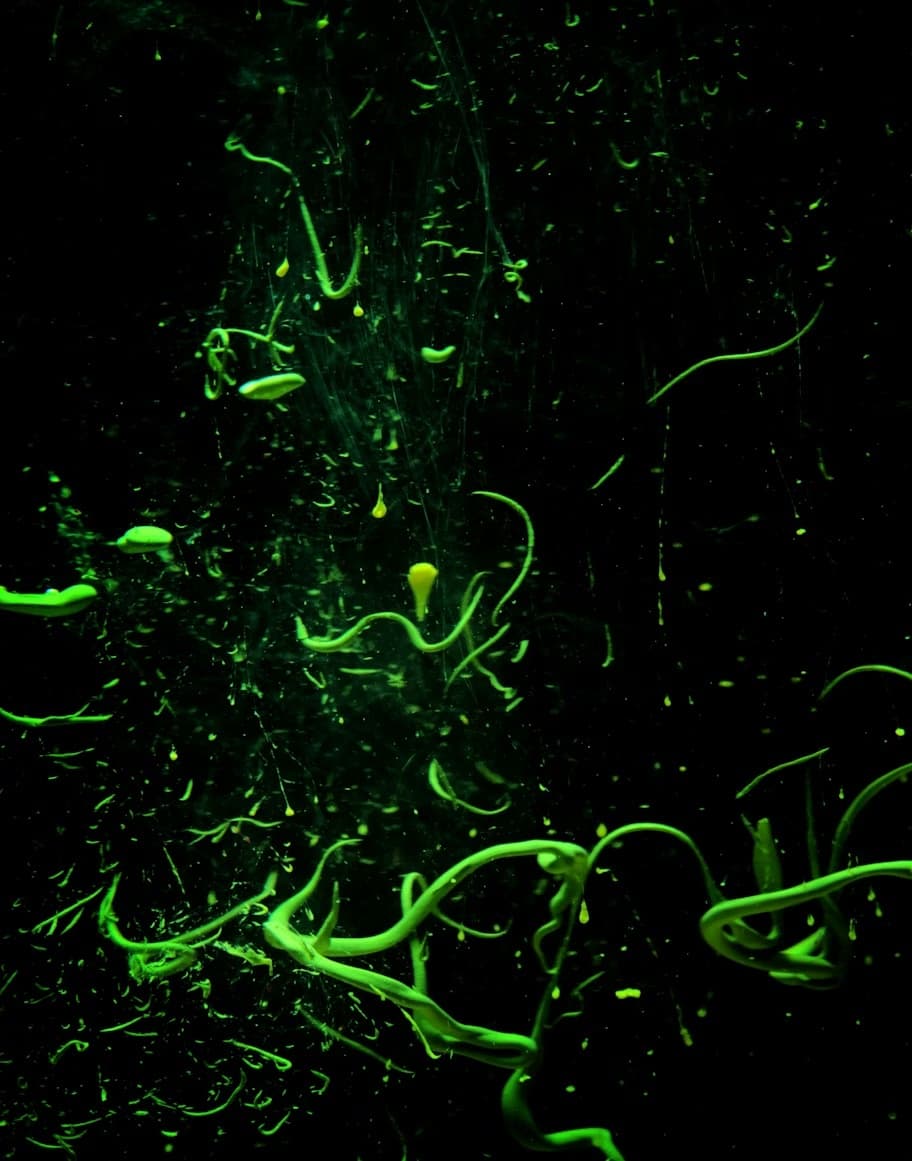 Sacramento Glow-in-the-Dark Team Paint Party — 90-Minute Corporate Splat photo 2