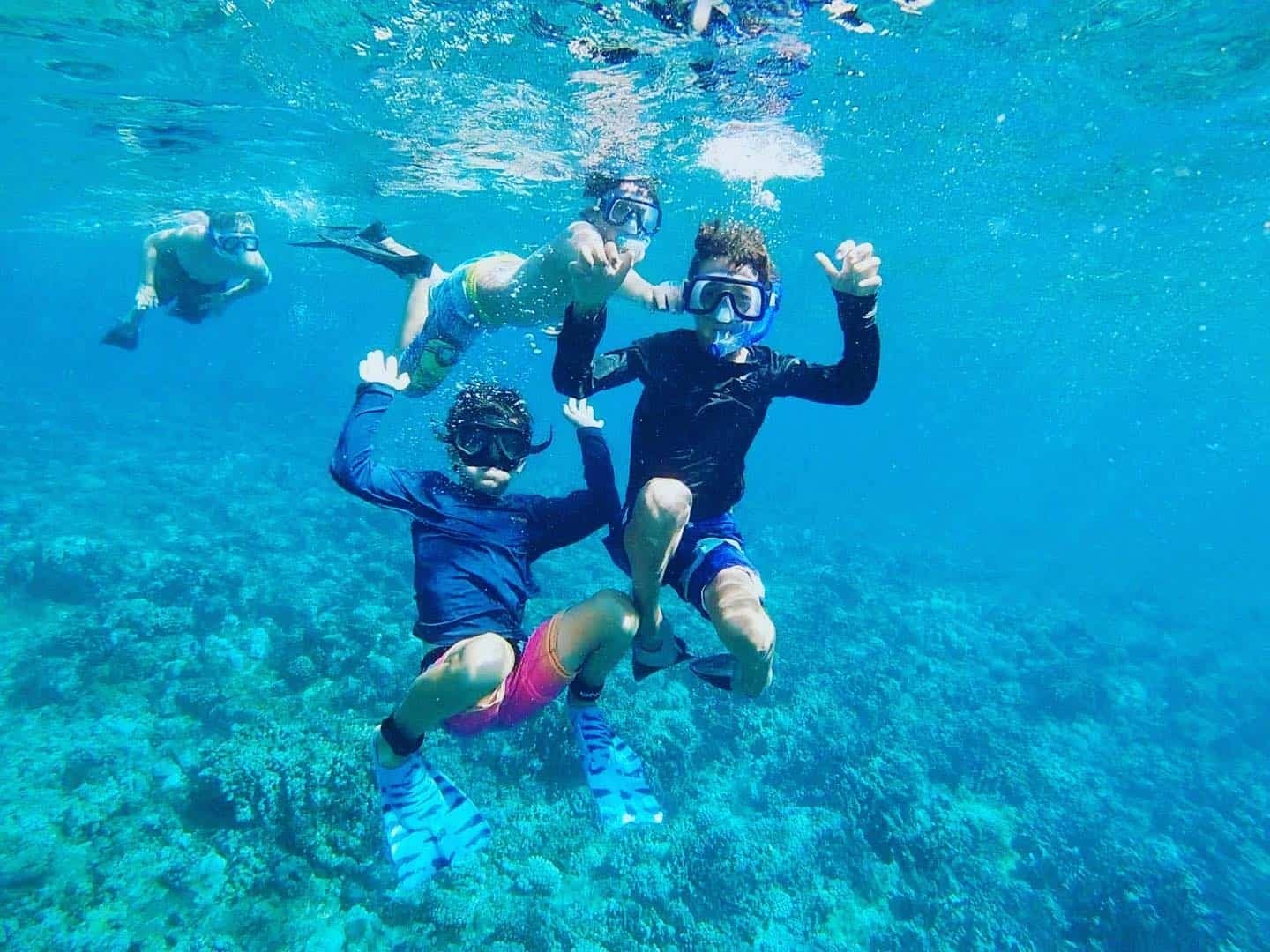 Snorkel the Strait of Gibraltar: Family-Friendly Reefs & Boat Trips from Tarifa