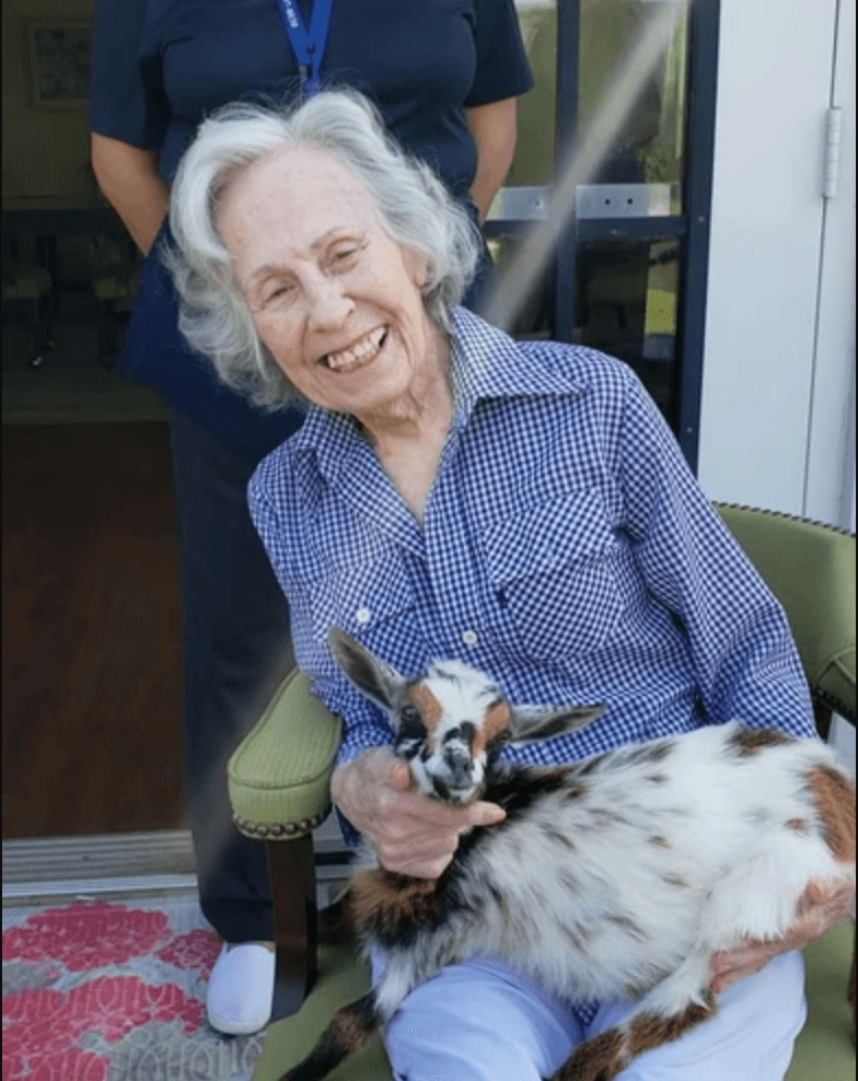 Goat Therapy in Brookshire, Texas – Relax and Reconnect