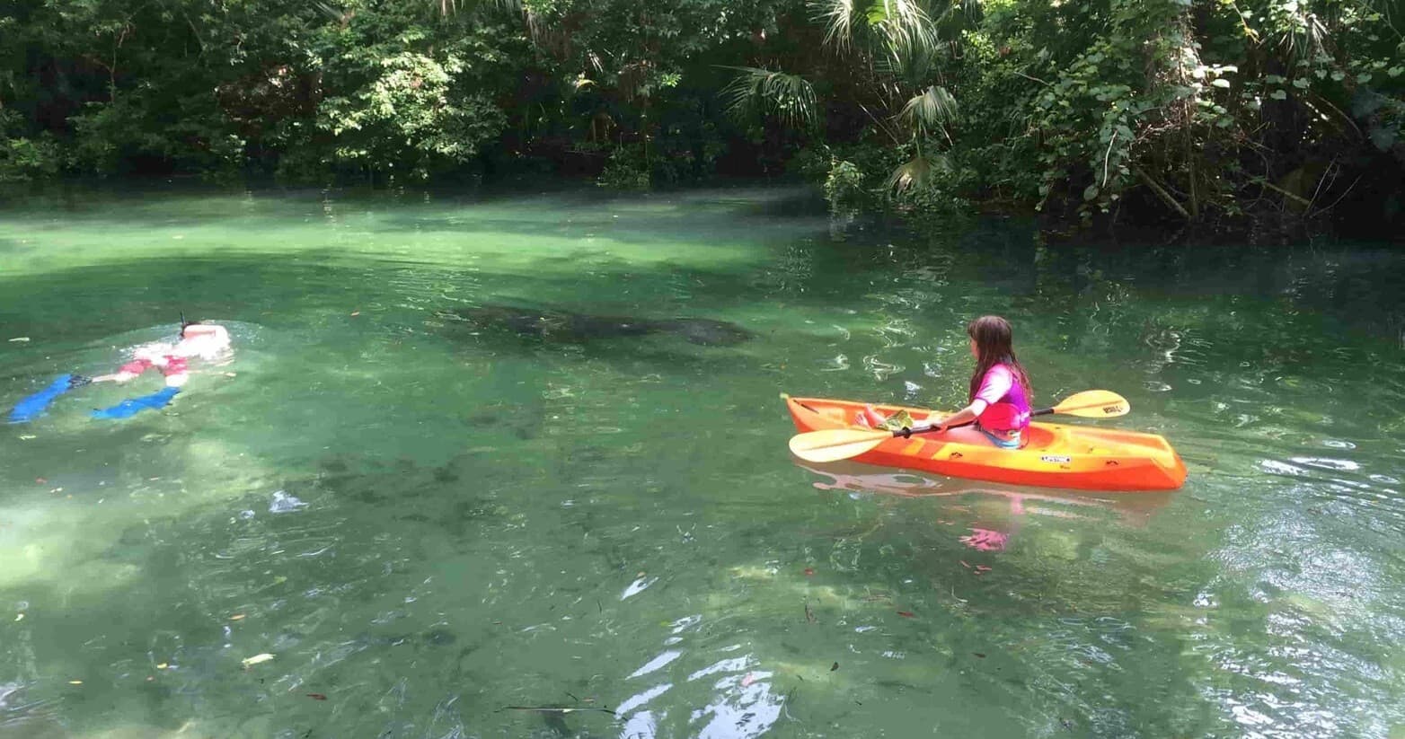 Kayaker paddling in clear spring water at Weeki Wachee River