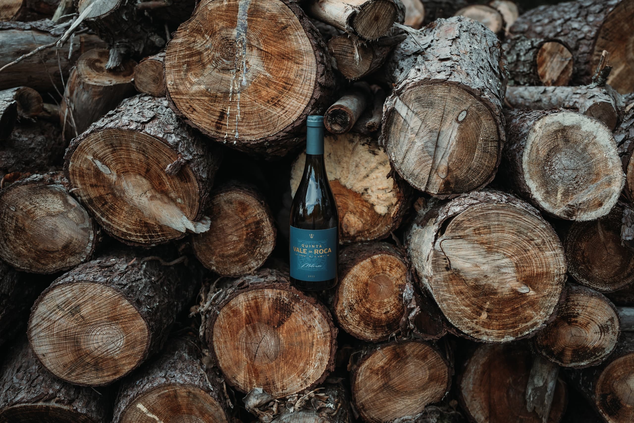 Coastal Terroir of Colares: A One-Hour Vineyard Tasting Near Cabo da Roca