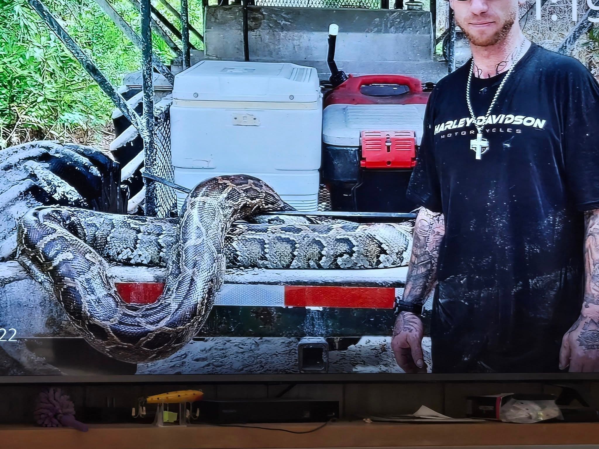 Private Snake Hunts With Captain Steve: Ochopee Swamp Buggy Adventure