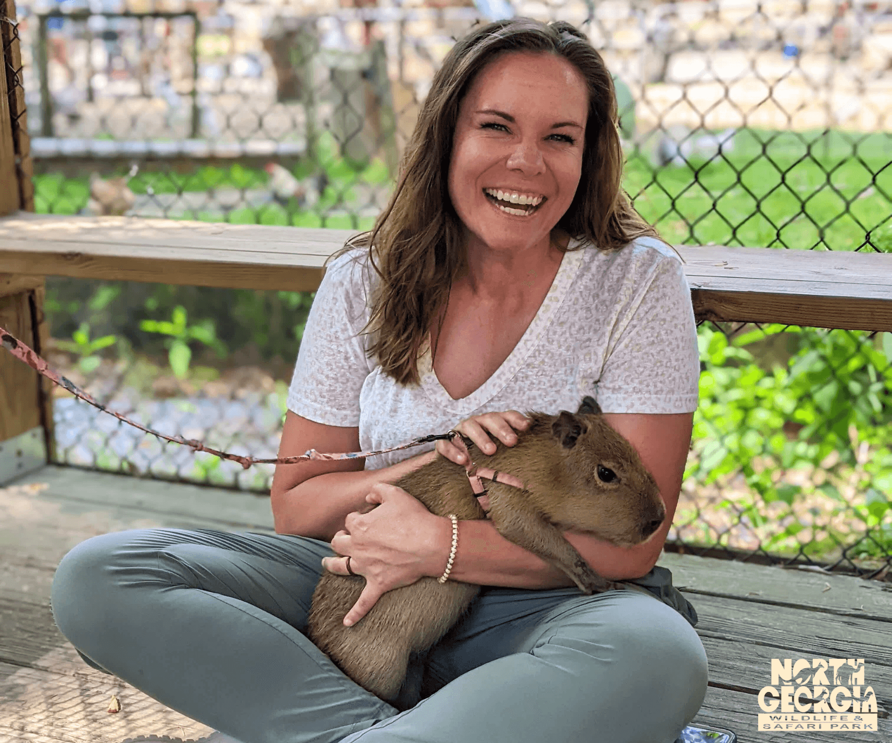 Baby Capybara Experience in Cleveland, Georgia