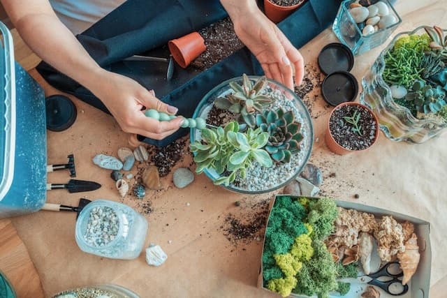 Create Your Own Living Art: Succulent Terrarium Workshop in Fredericksburg, VA