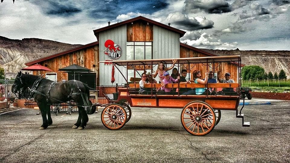 Bachelor/Bachelorette Horse-Drawn Wine Tour in Tampa, FL