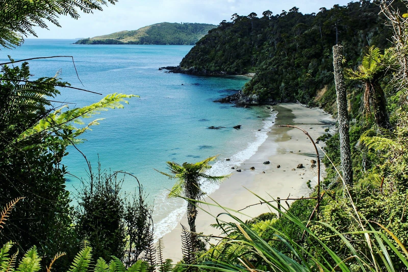 Secluded tropical cove with turquoise water and forested headland
