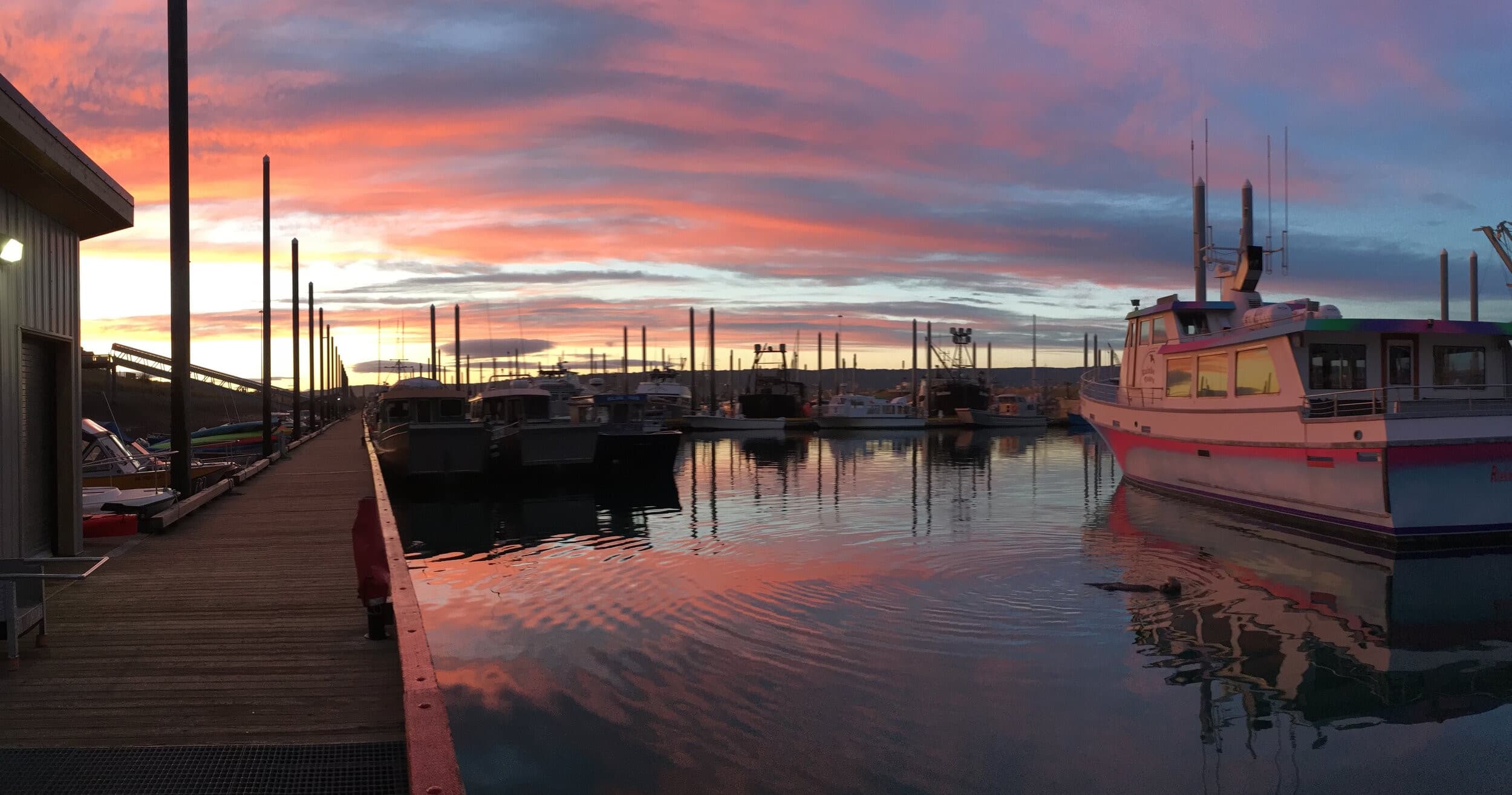 Sunset harbor with fishing boats at Homer Alaska marina