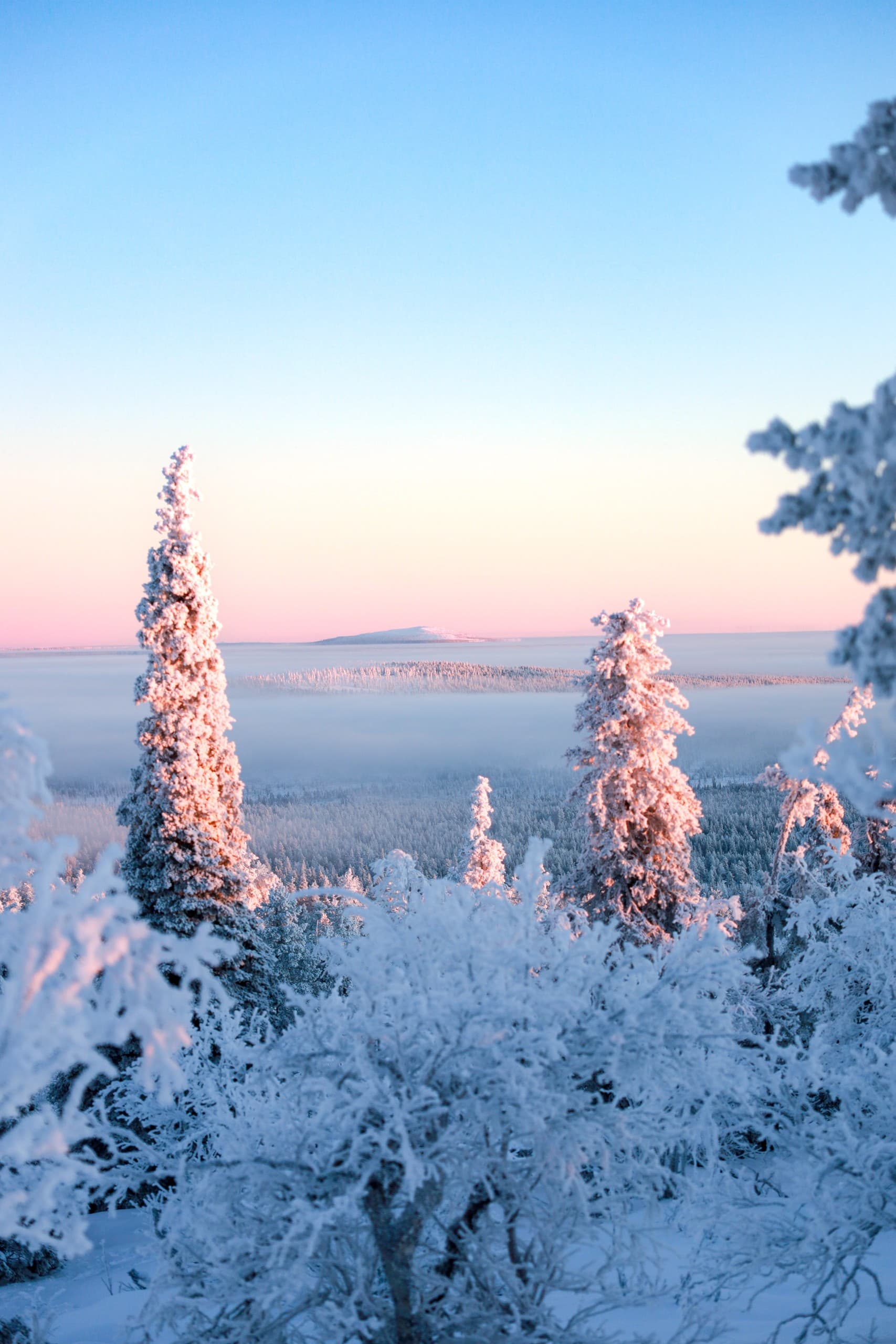 Snowshoe to Kätkä Fell: Half-Day Arctic Hike from Levi with Sámi Stories photo 1
