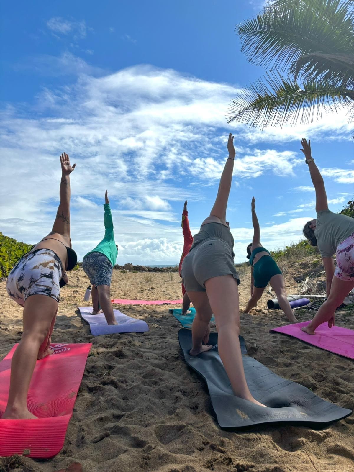 Surf and Yoga Retreat in Isabela, Puerto Rico