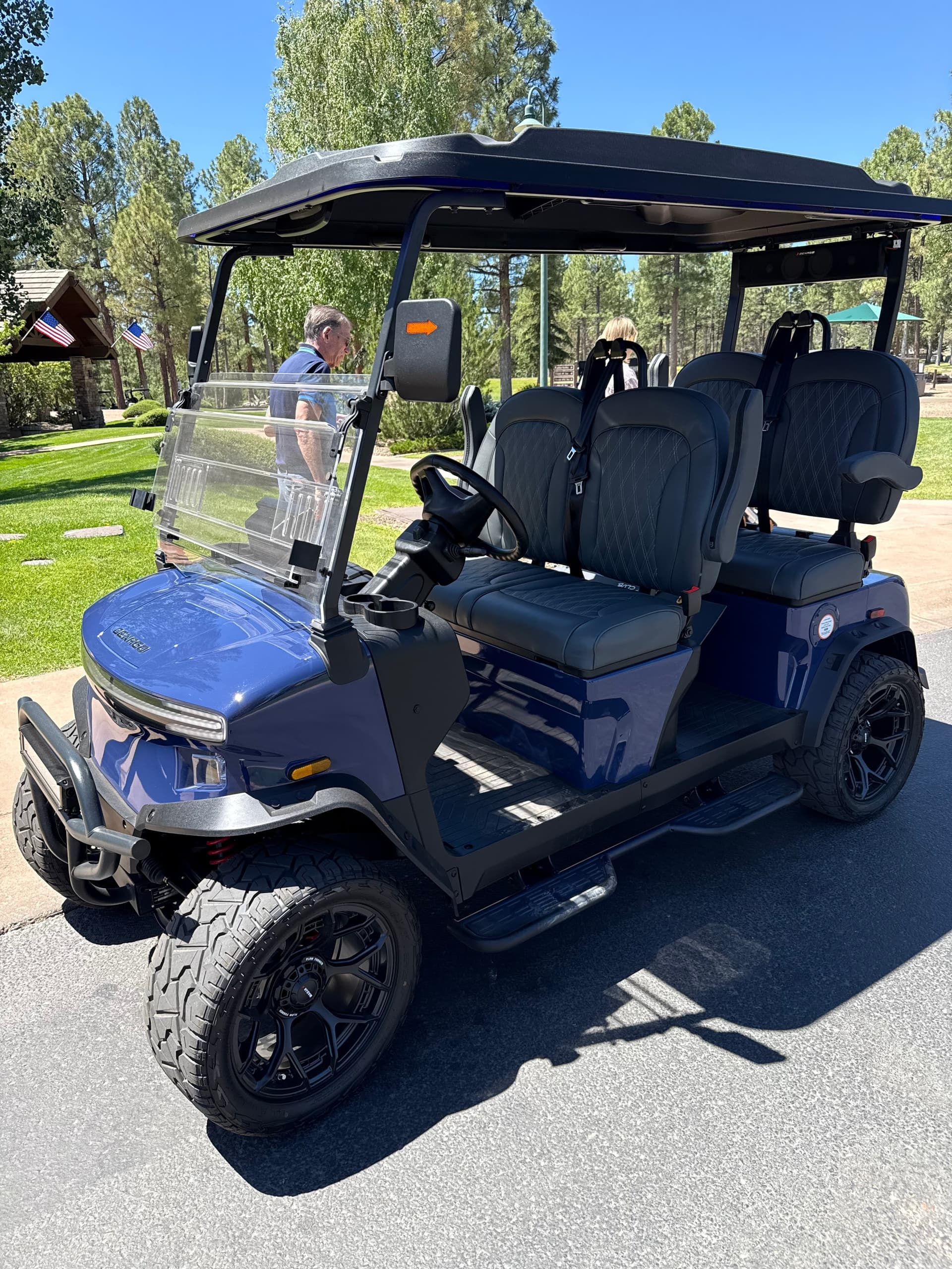 Golf Cart Rentals in Torreon with Rides N Motion