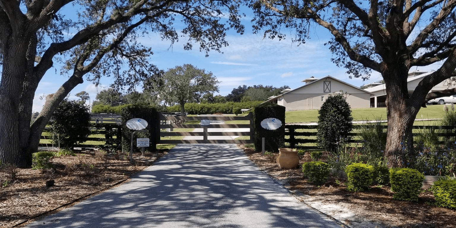 Oak-lined driveway leading to equestrian estate entrance scenery