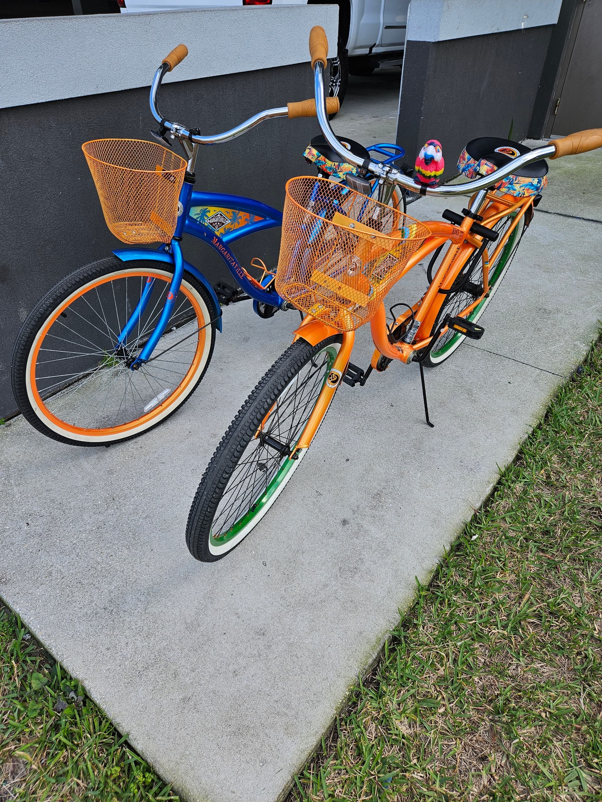 Bicycle Rental Adventure in Madeira Beach, Florida