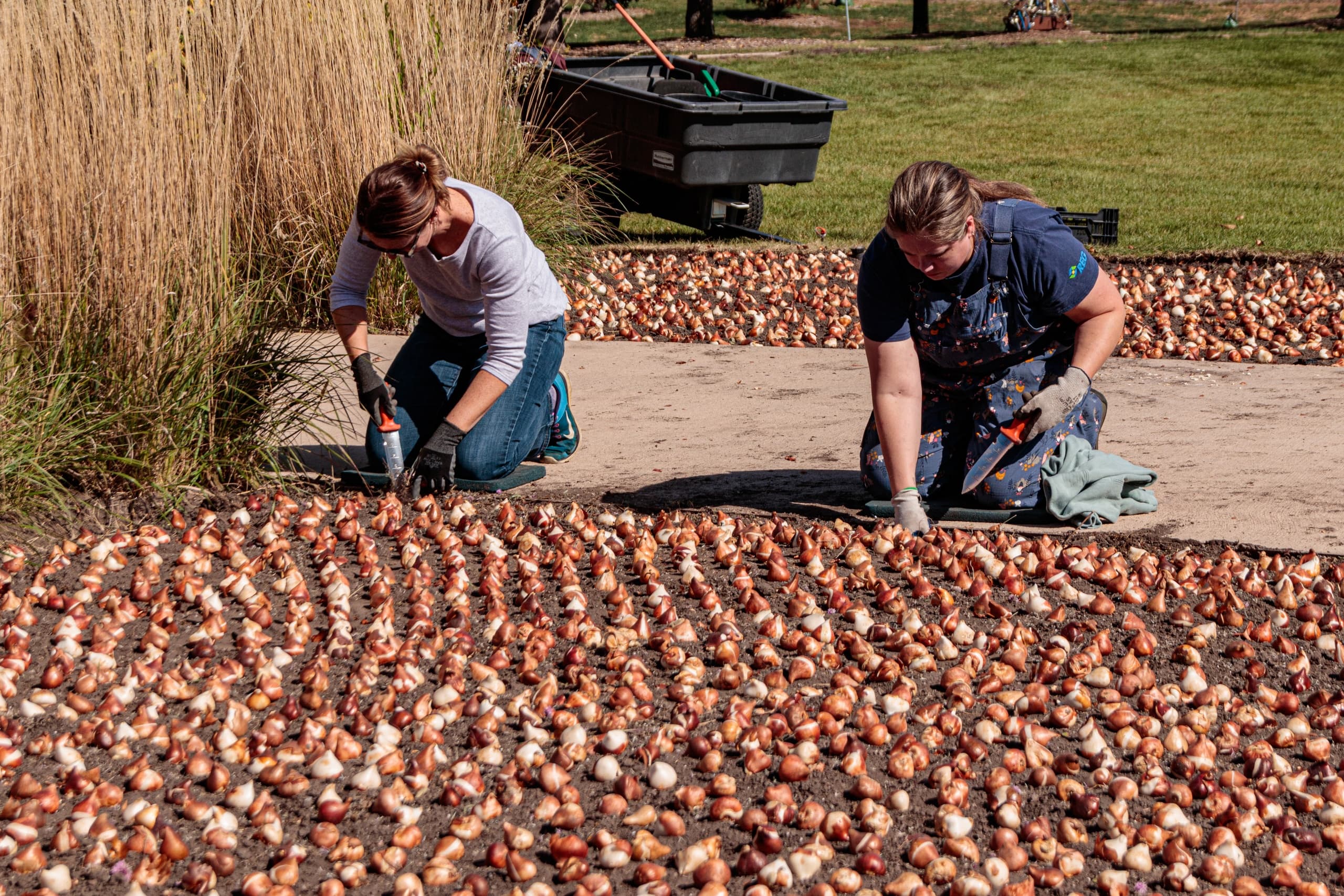 Garden Volunteer Experience at Reiman Gardens
