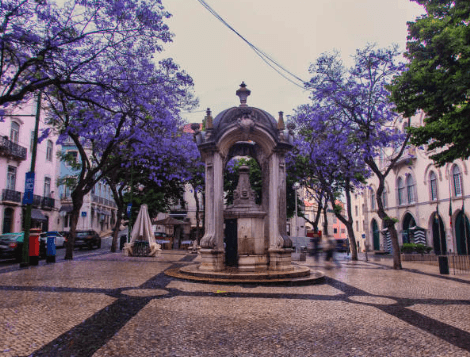 Explore Lisbon’s Vibrant Bairro Alto & Chiado Quarters by Electric Tuk Tuk
