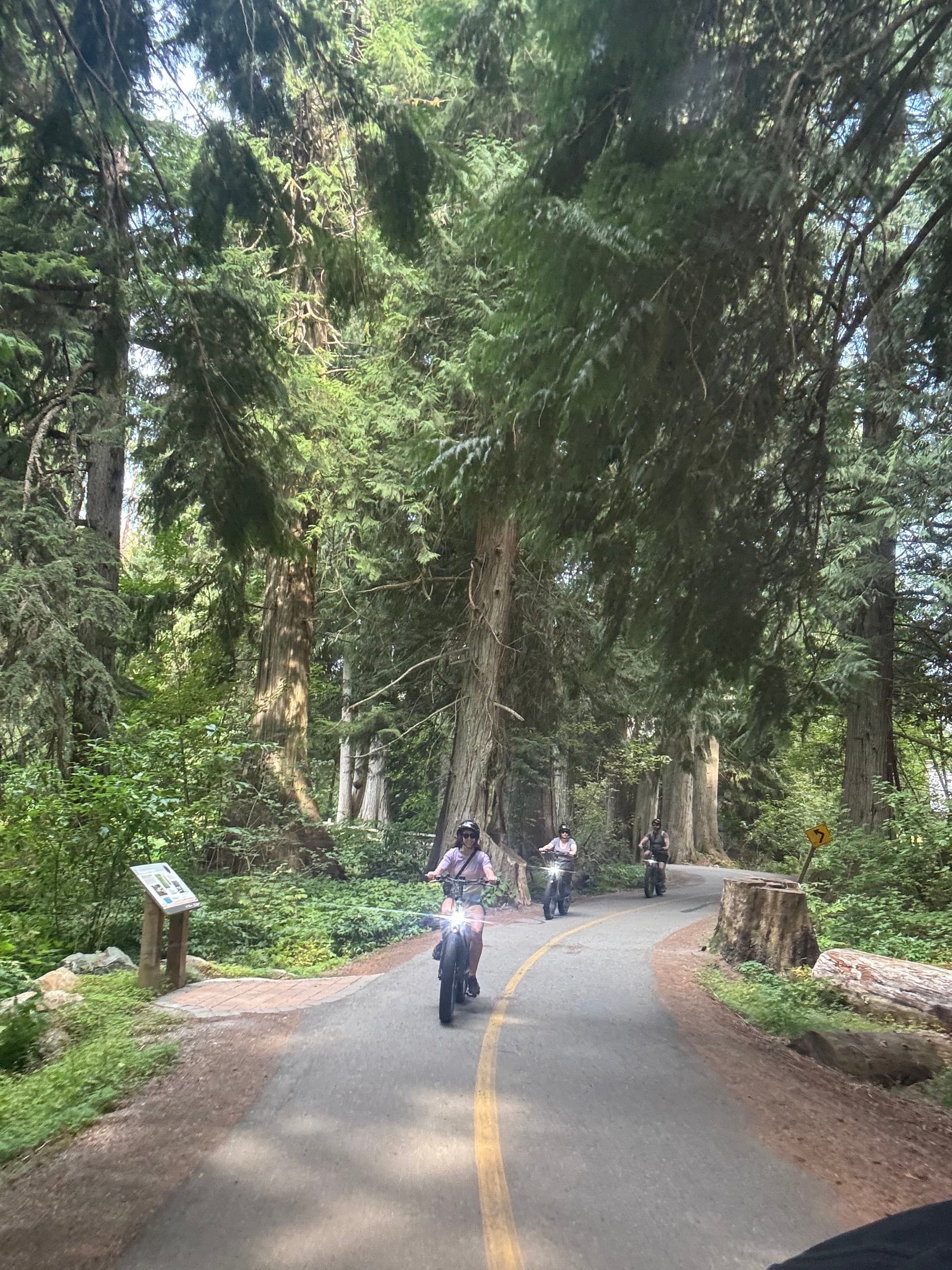 Glacier-Fed Lakes & Ridge Views: Whistler Guided E-Bike Tour photo 1