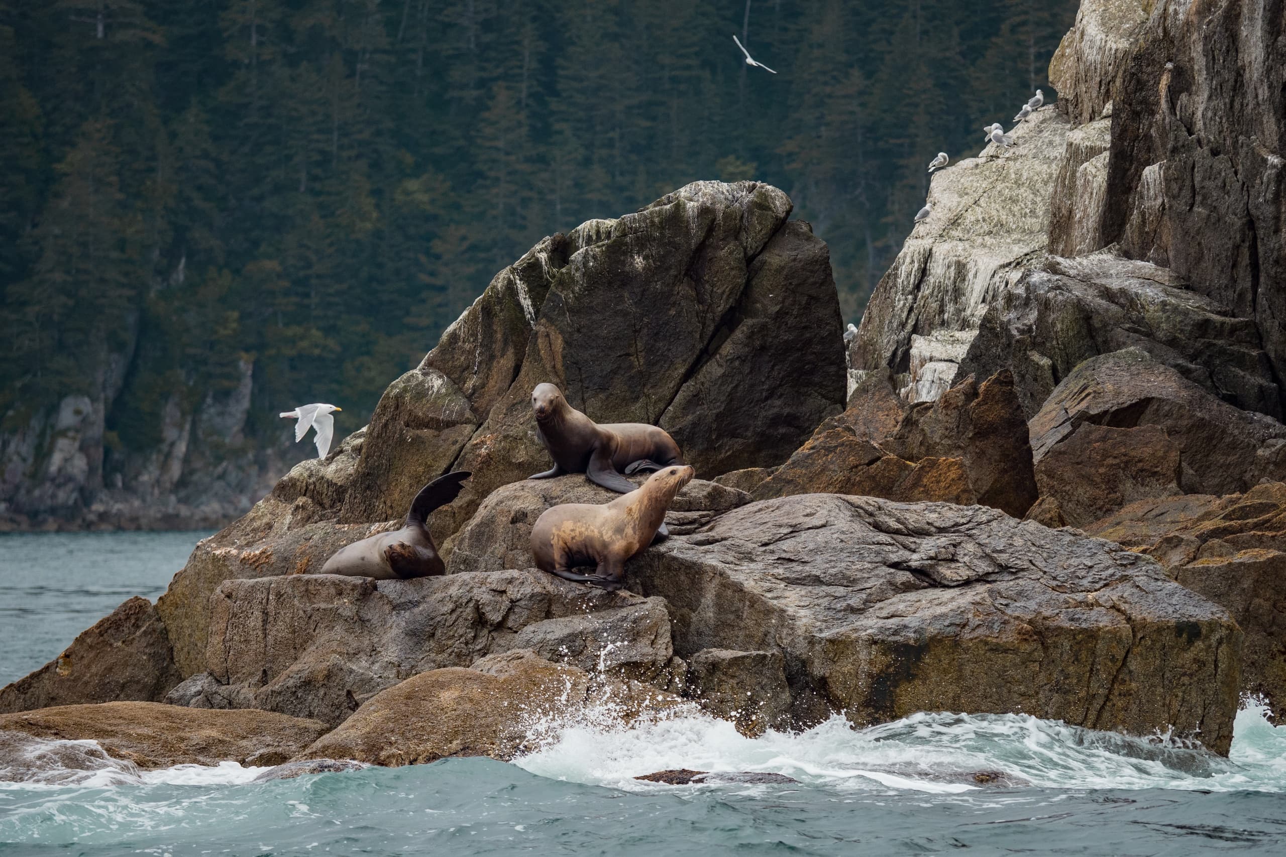 Alaska Coastal Explorer team