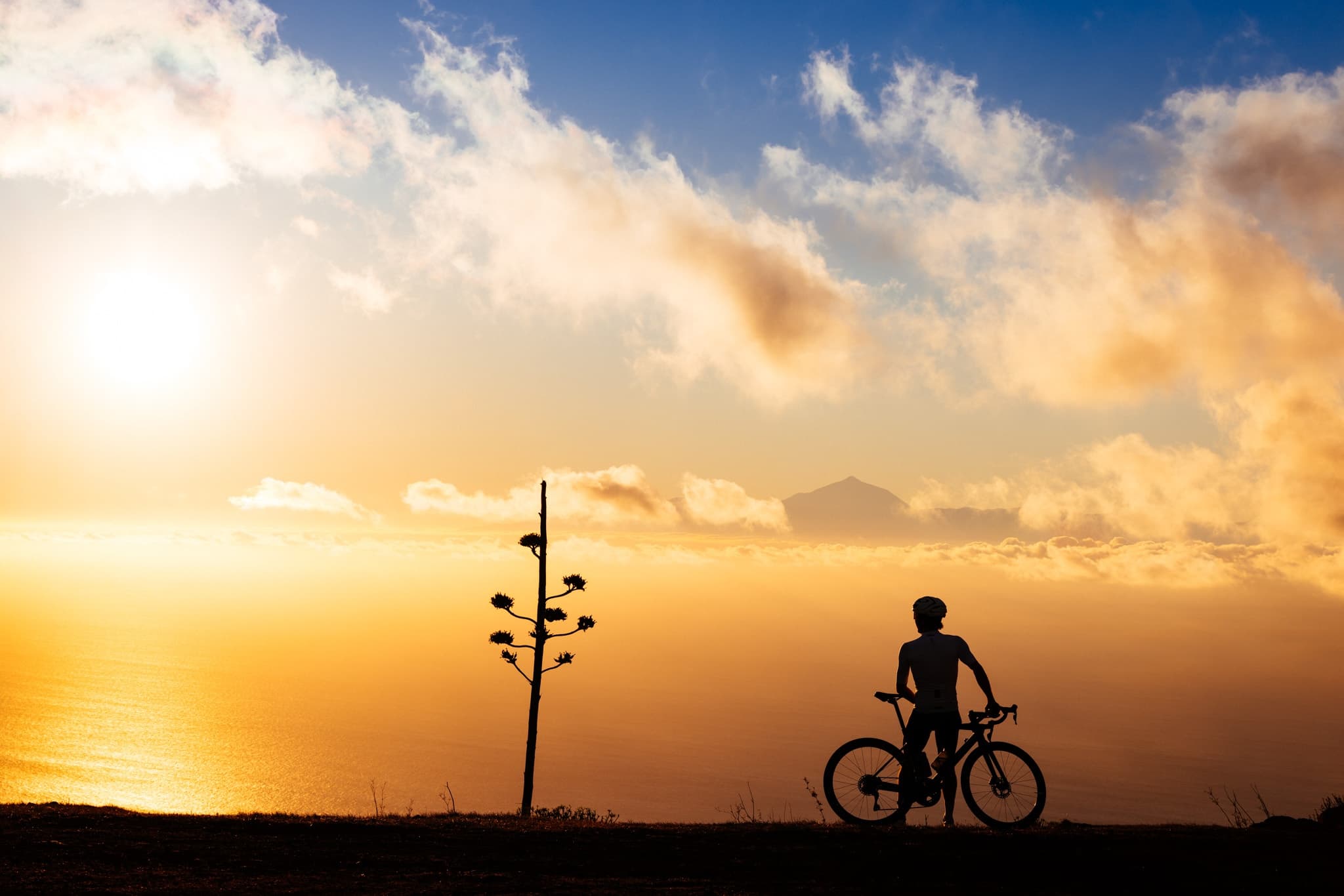 Intense 3-Day Cycling Adventure in Gran Canaria’s Stunning Mogán Landscape