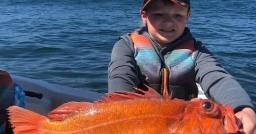 Nine-Hour Offshore Charter to the Coronado Islands: Private Small-Group Deep-Sea Fishing