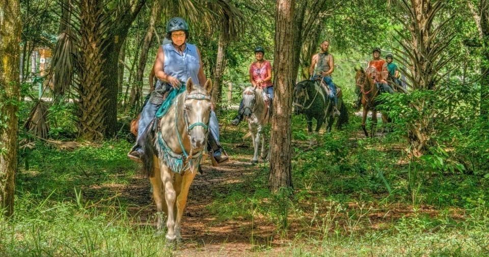 Riders on horses navigating dense tropical forest trail tour
