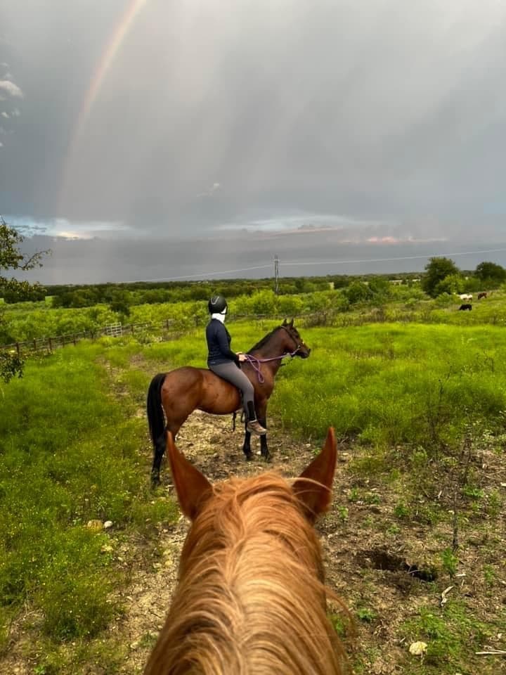 Private Lockhart Horsemanship Ride in Austin, Texas