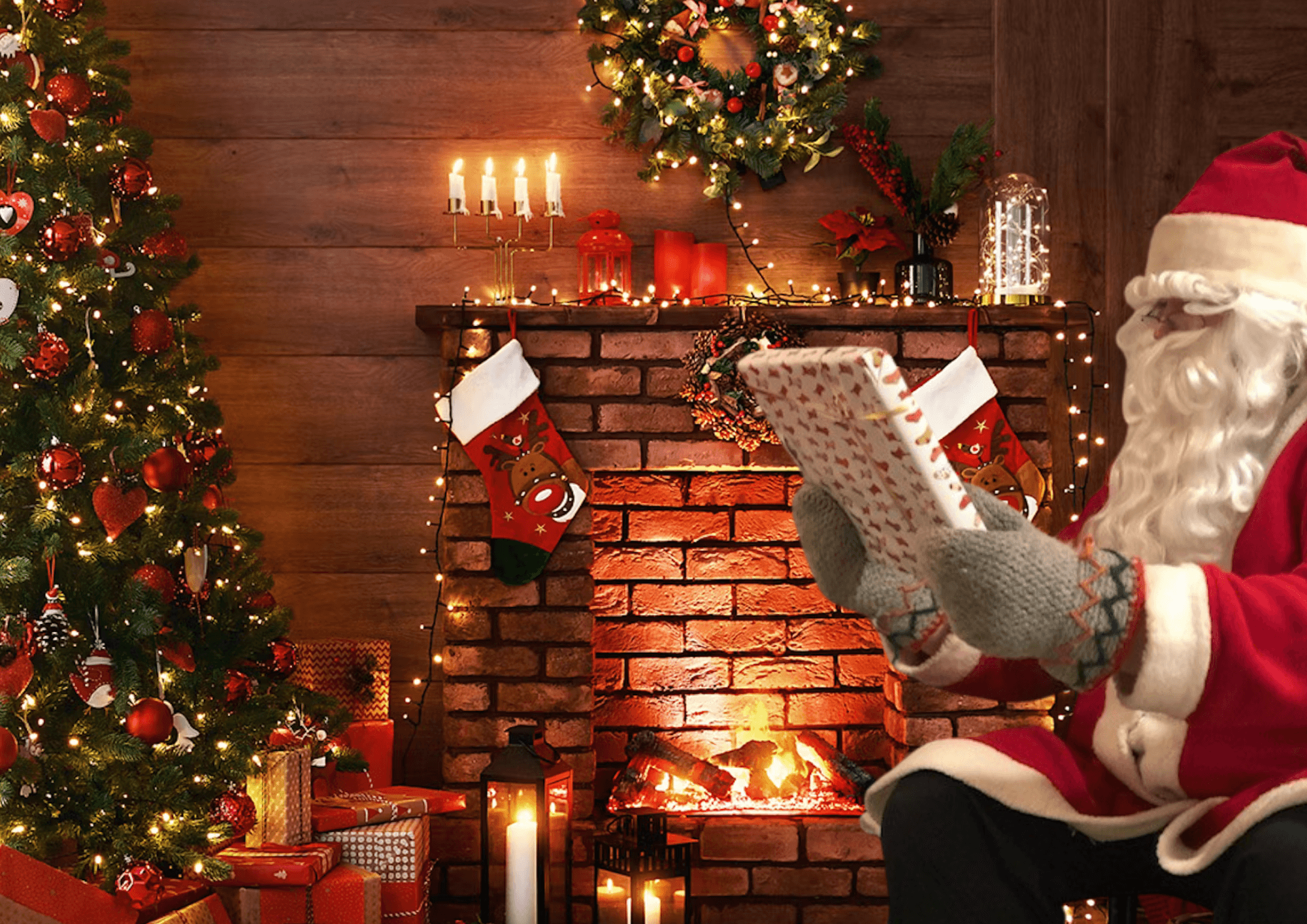 Winter Wildlife & Santa Experience at Ivalo Reindeer Farm
