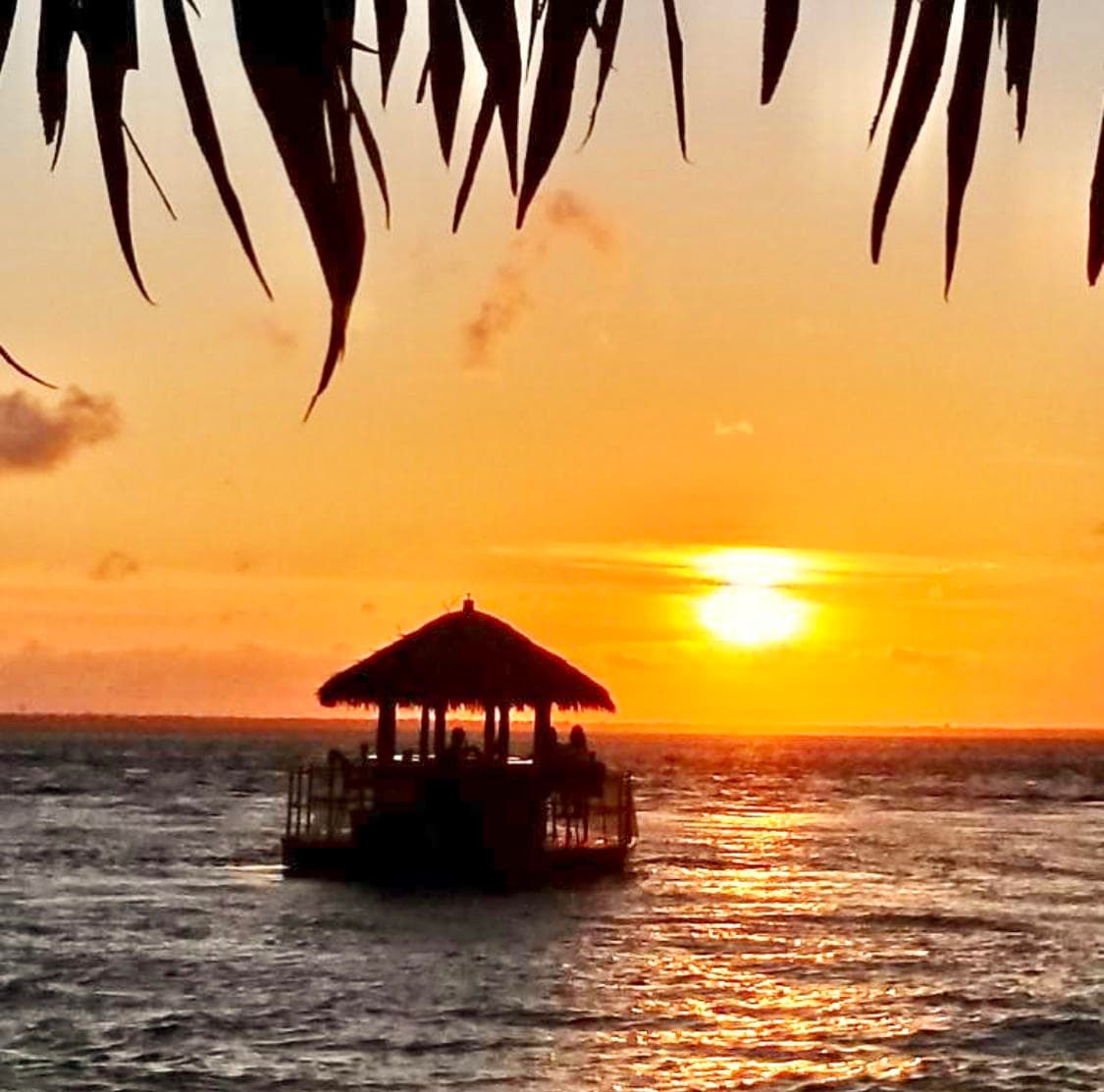 Sunset Tiki Cruise with Cruisin' Tikis Clearwater