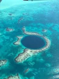 Private Island Diving Week at Belize's Blackbird Caye — Great Blue Hole & Turneffe Reefs photo 3