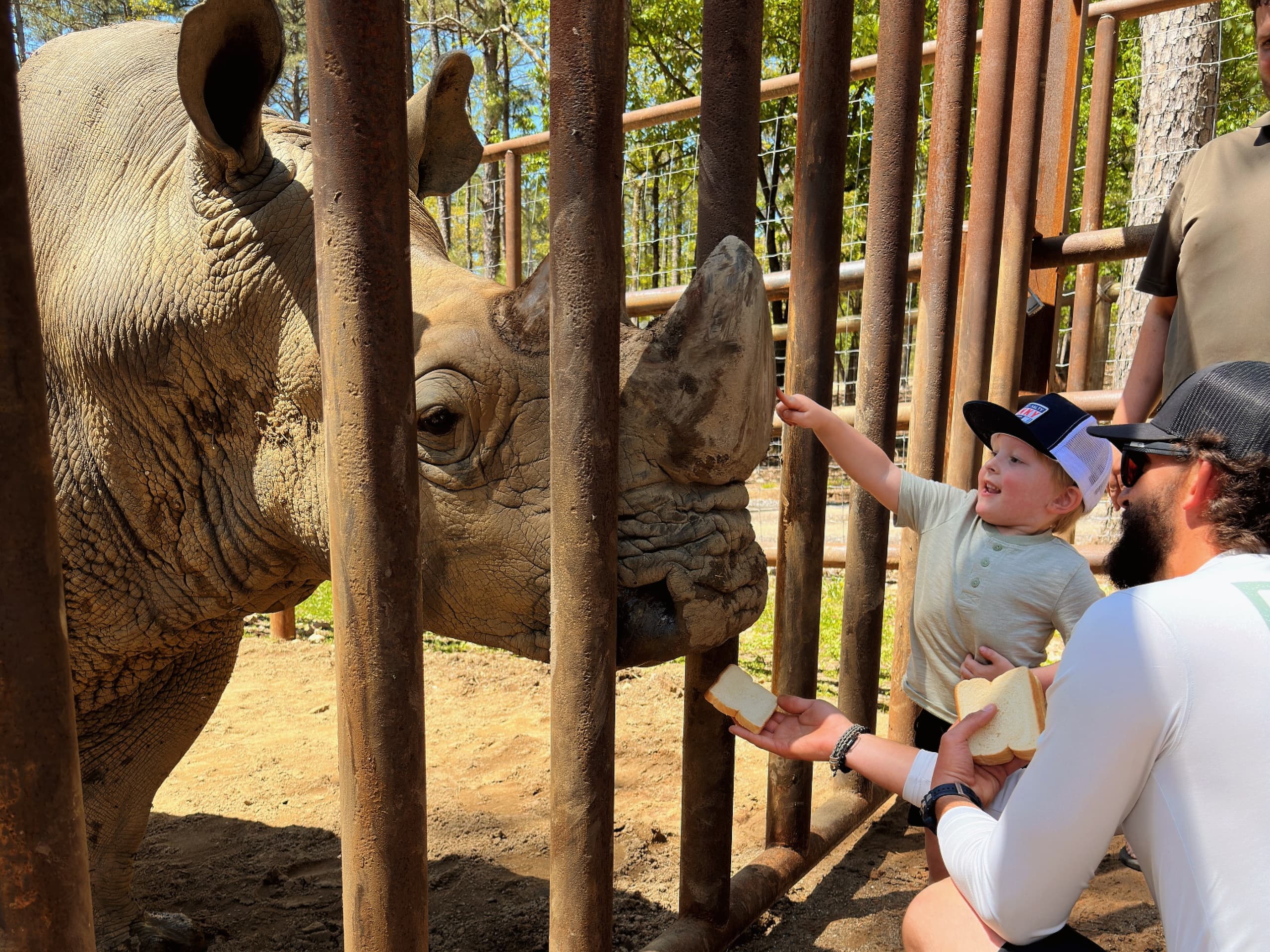 Wildlife Safari Adventures at Beaver's Bend Safari Park, OK
