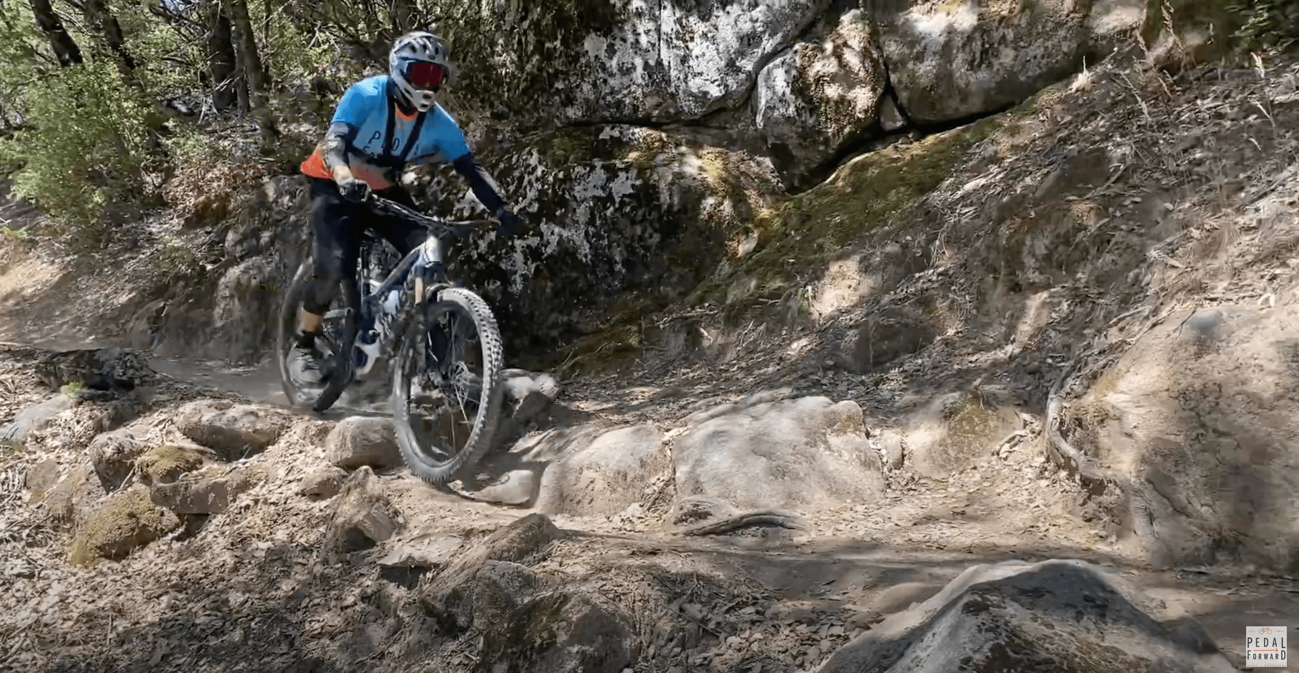 Mountain Biking Adventure at Bass Lake with Pedal Forward Bikes