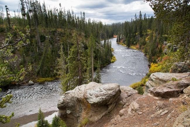 Full-Day Private Hiking with Yellowstone Dreamin Adventures in Montana