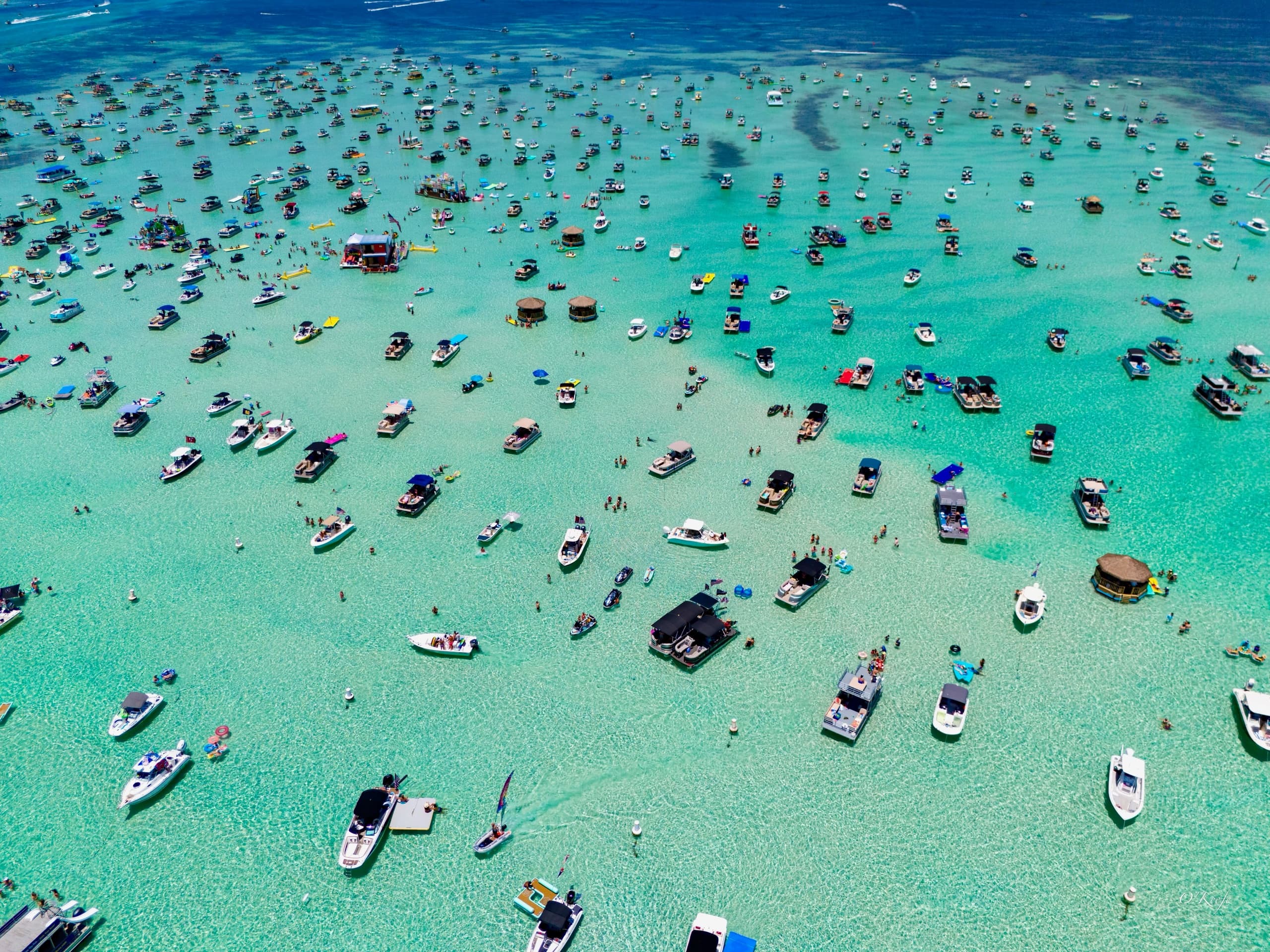 Crab Island Adventure with Coastal Cruise in Destin