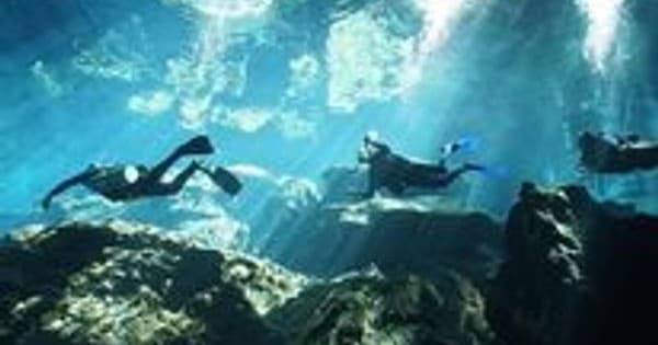 Master Trim in Cozumel: One-Day Buoyancy Workshop for Drift Divers