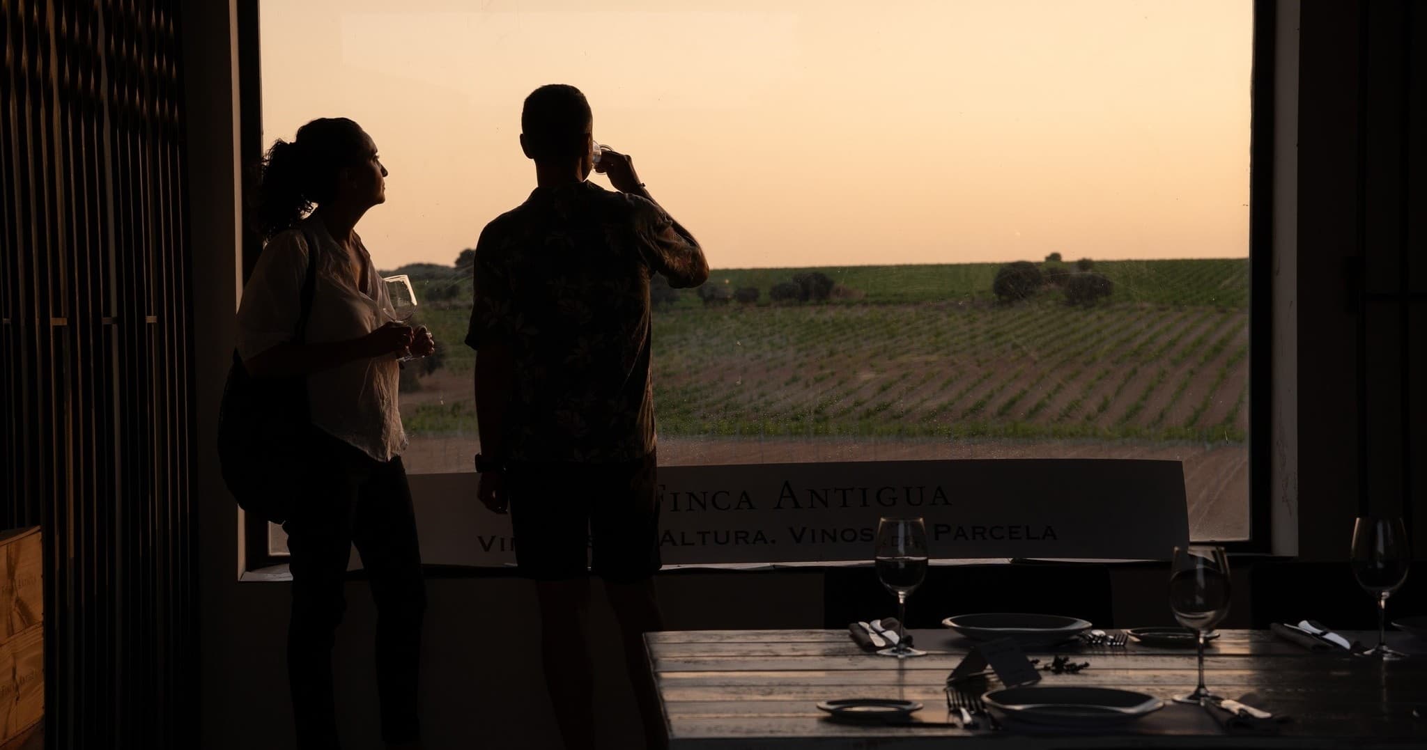 Castilla-La Mancha Vineyard Experience by Farm Experiences & Tours