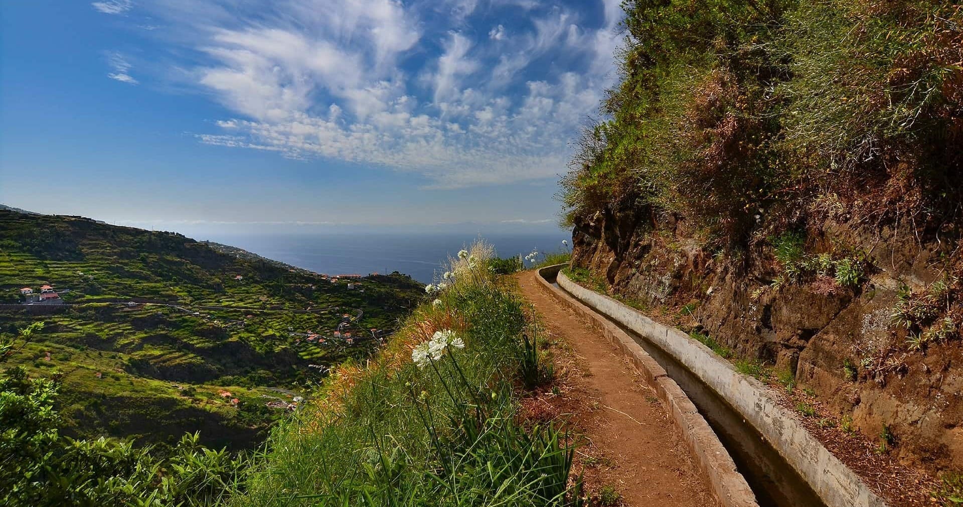 Levada Nova Hike with Madeira Happy Tours in Funchal